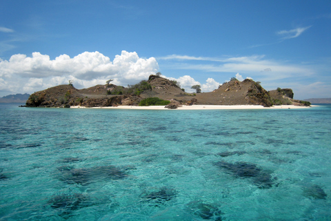 an island in Komodo national park