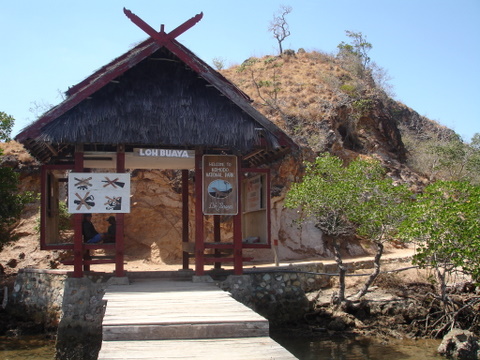 DSC01681