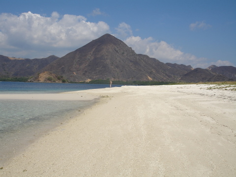 DSC01700