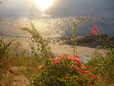 DSC01715
